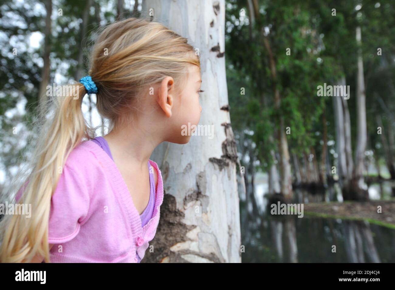 Young girl plays hide and seek behind a eucalyptus tree Stock Photo