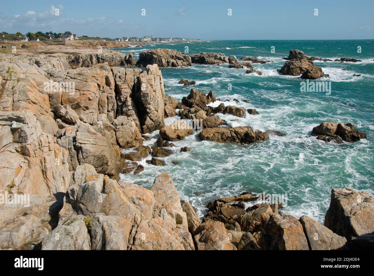 Le sauvage hires stock photography and images Alamy