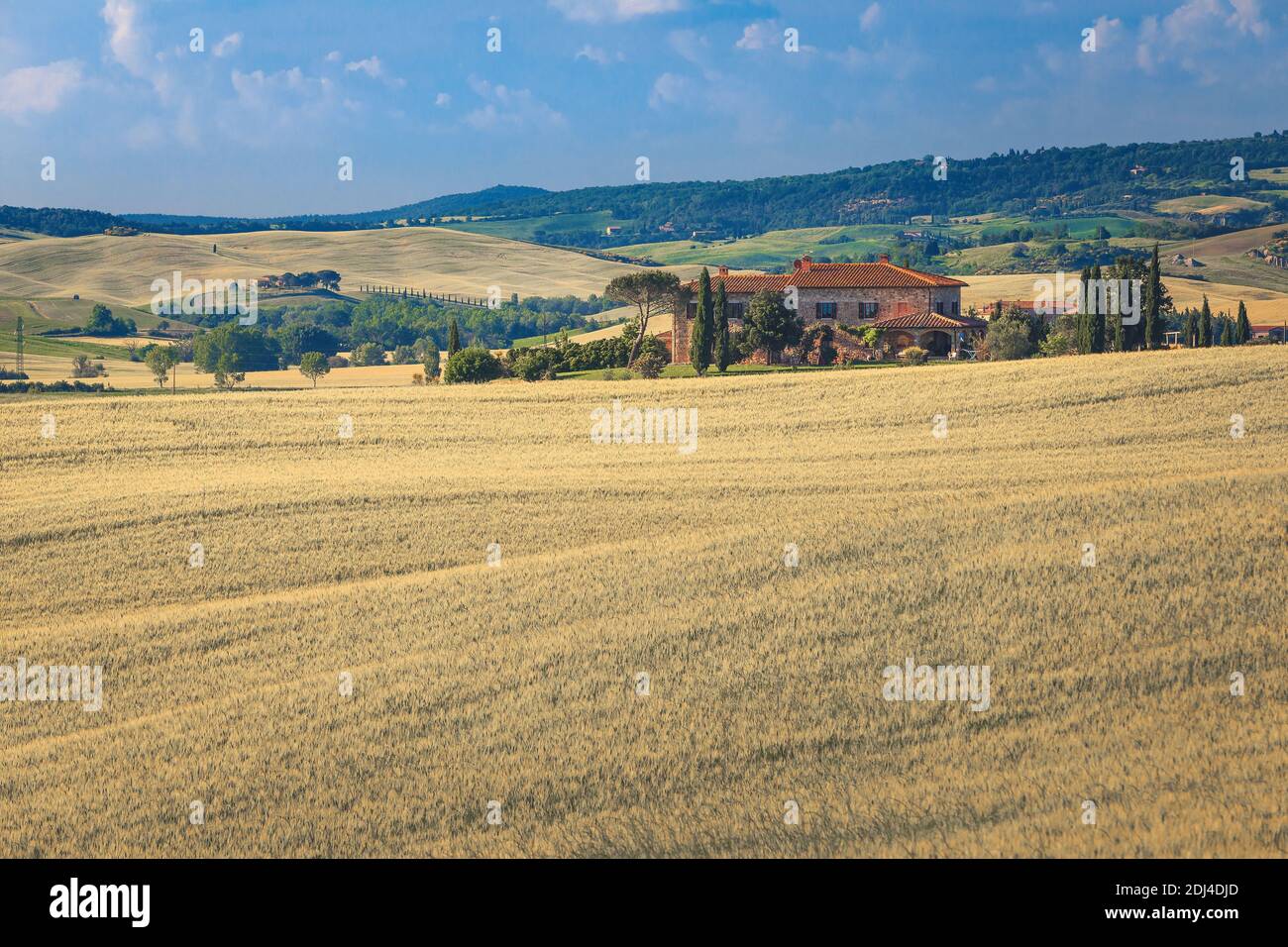 Fantastic summer Tuscany countryside landscape with typical rural house in the grain fields, Italy, Europe Stock Photo