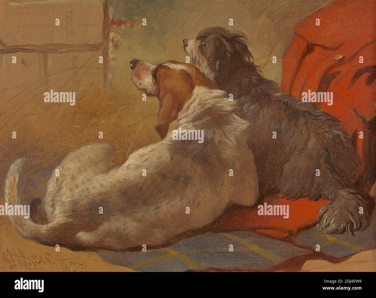 A Hound and a Bearded Collie seated on a Hunting Coat, John Frederick Herring, 1795–1865, British, 1855, Oil on paper laid on canvas, Support (PTG): 9 3/4 × 13 1/2 inches (24.8 × 34.3 cm), animal art, coat, dogs (animals Stock Photo