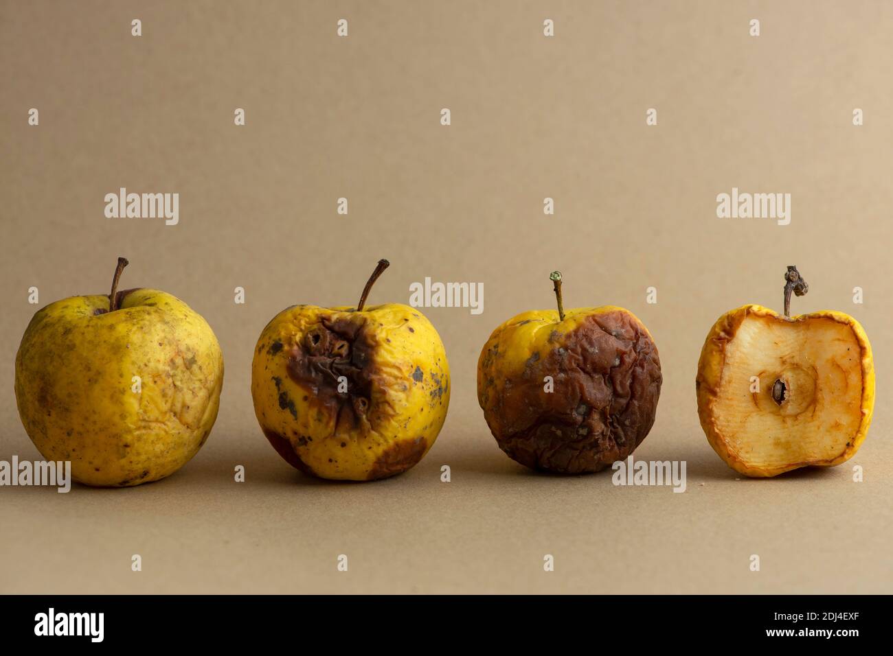 rotten, apple, fruit, bad, old, food, white, spoiled, organic, nature, isolated, natural, background, wrinkled, damaged, decay, fungus, yellow, red, Stock Photo