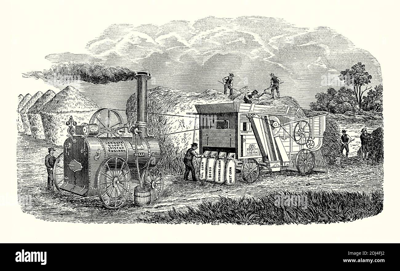 An old engraving of a Garrett ‘English’ threshing machine powered by a Garrett steam engine in the 1800s. It is from a Victorian mechanical of the 1880s. A threshing machine or a thresher is a piece of farm equipment that threshes grain, removing the seeds from the stalks and husks. It beats the plant to separate the seeds. Here the seeds are also graded and collected in sacks with markings on them (tail corn, seeds, seconds corn, best corn). Men pile the stalks into haystacks. Richard Garrett & Sons, Leiston, Suffolk, England, UK, was a maker of agricultural machinery and steam engines. Stock Photo