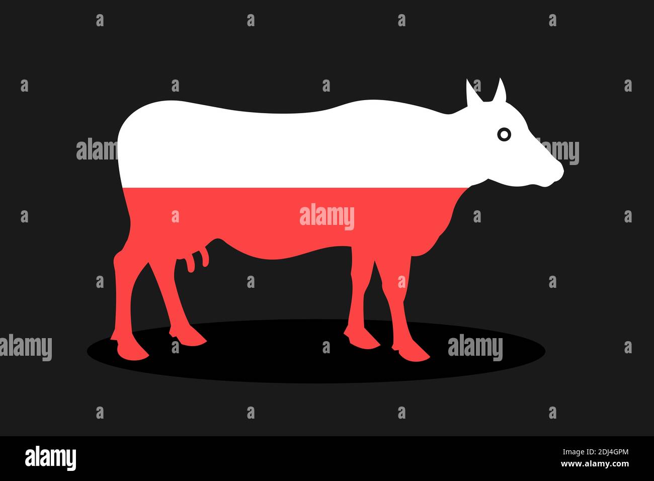 Polish cow from Poland - animal and cattle in red and white colors ...