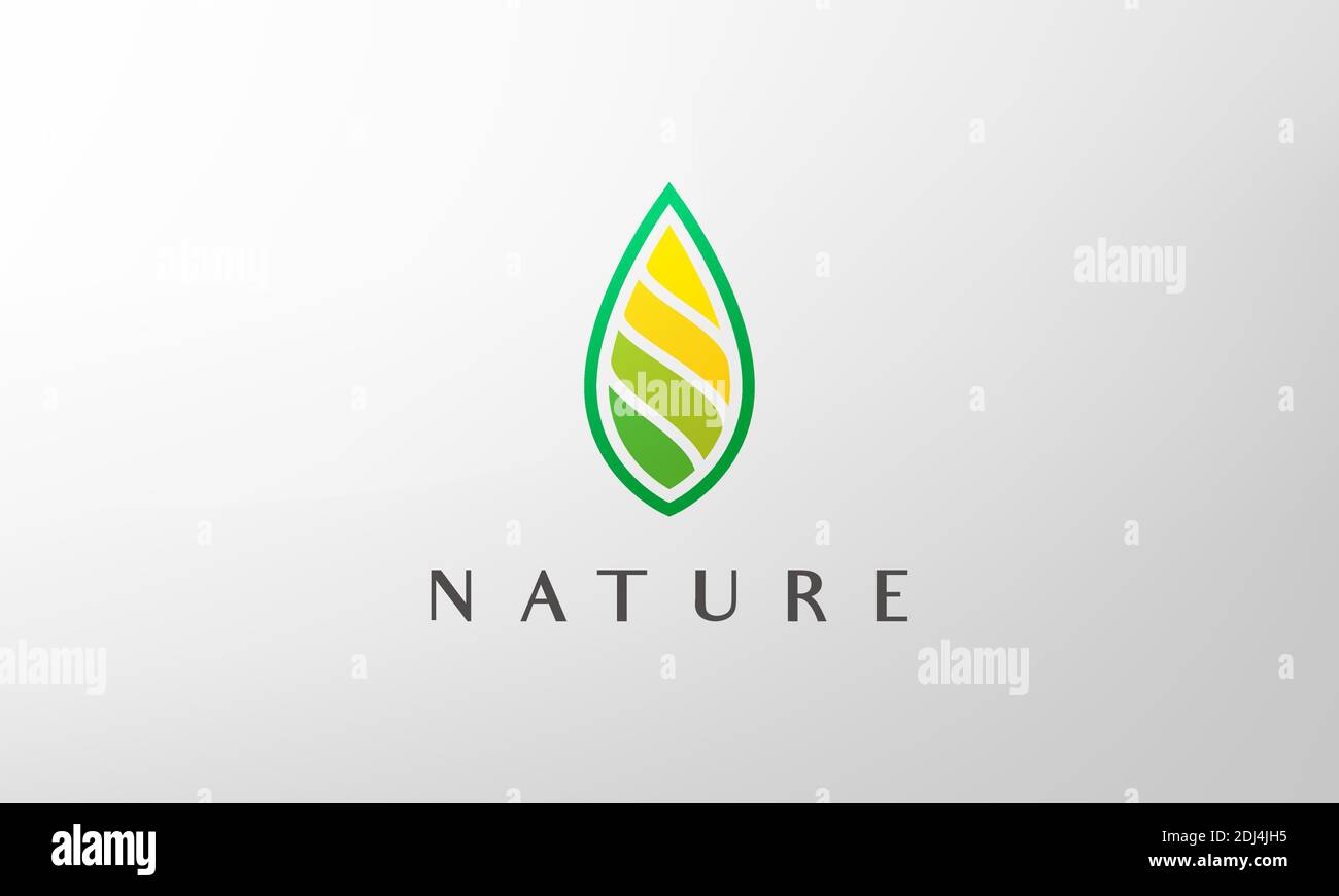 green abstract leaf logo in simple and modern style Stock Vector
