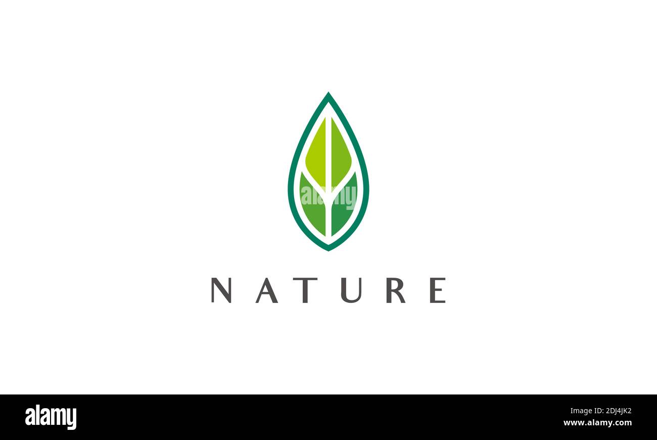 Modern green leaf logo in abstract and simple style Stock Vector Image ...