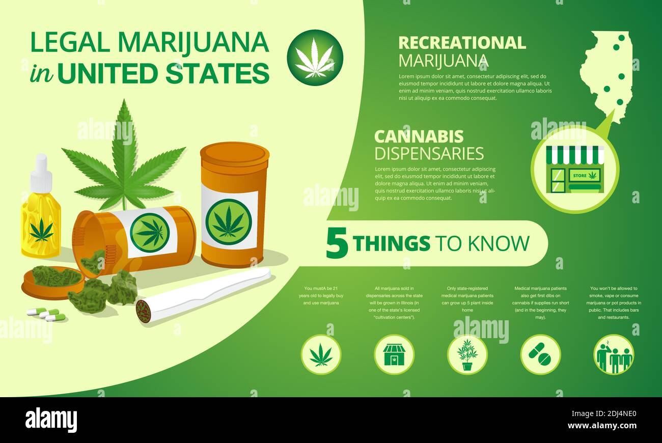 infographic marijuana legalization status in United States Stock Vector