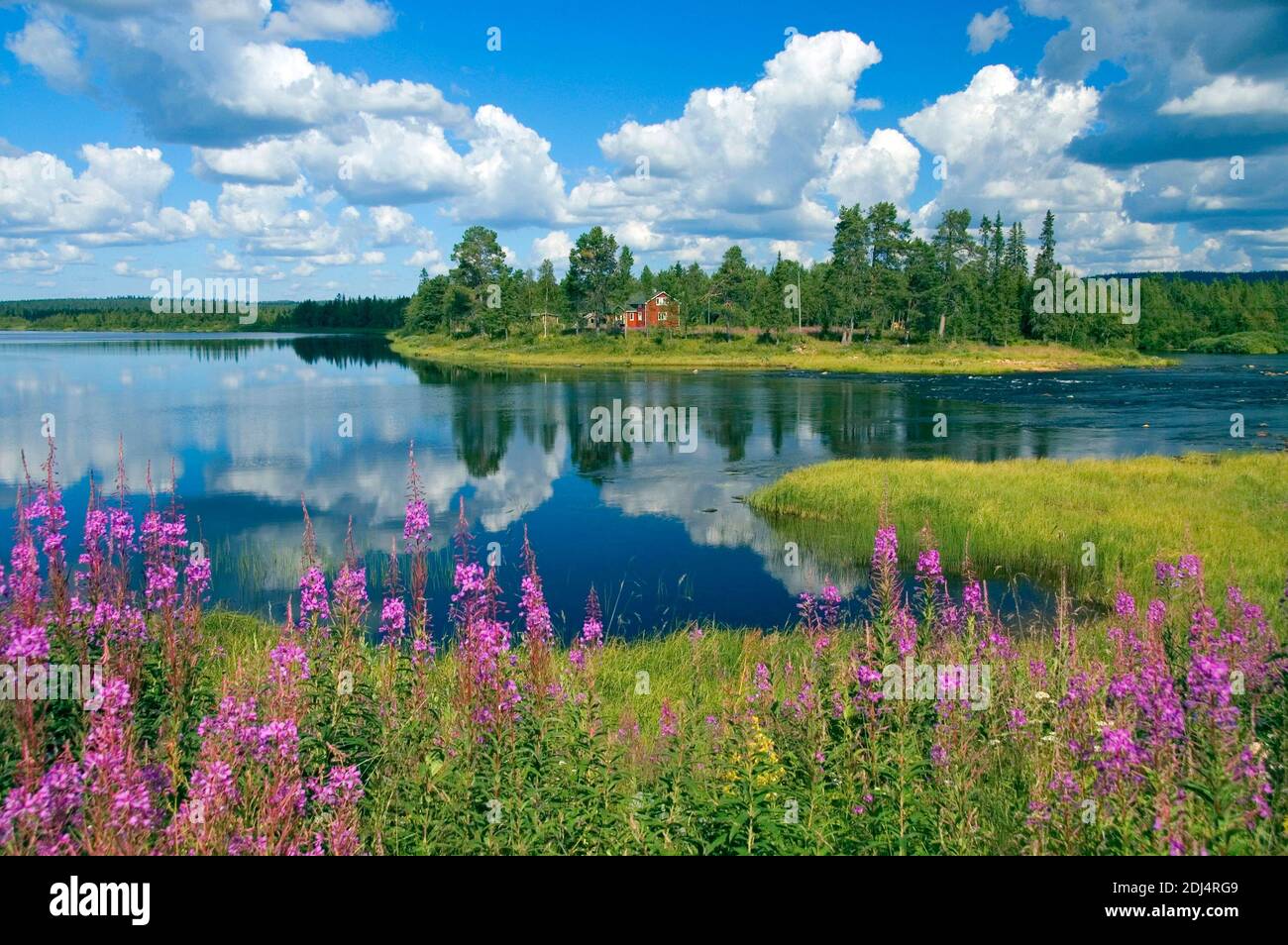 Skandinavien, Finnland, Europa, Lappland, Landschaft im Pallas-Ounas-Tunturi-Nationalpark, Fluss Ounasjoki bei Rattama Stock Photo