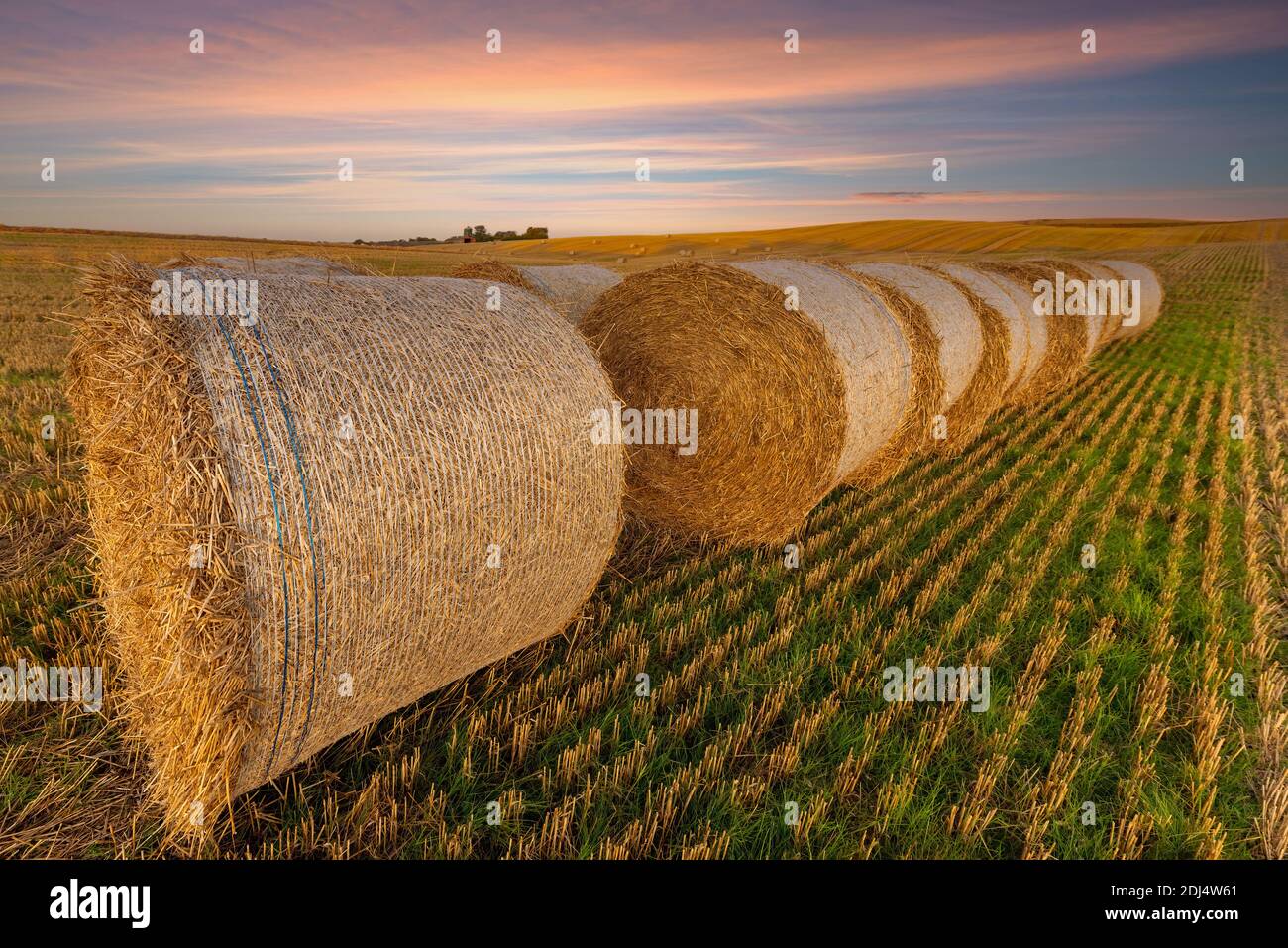 Hay bales and field stubble in a orange sunset Stock Photo - Alamy