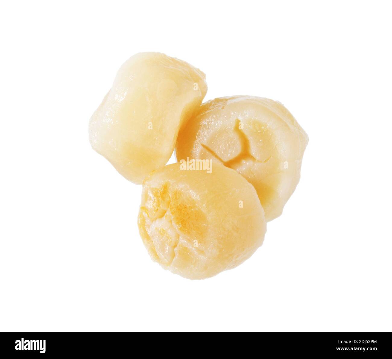 Scallops isolated on white background. Raw fresh scallops adductor. Fresh seafood. Stock Photo