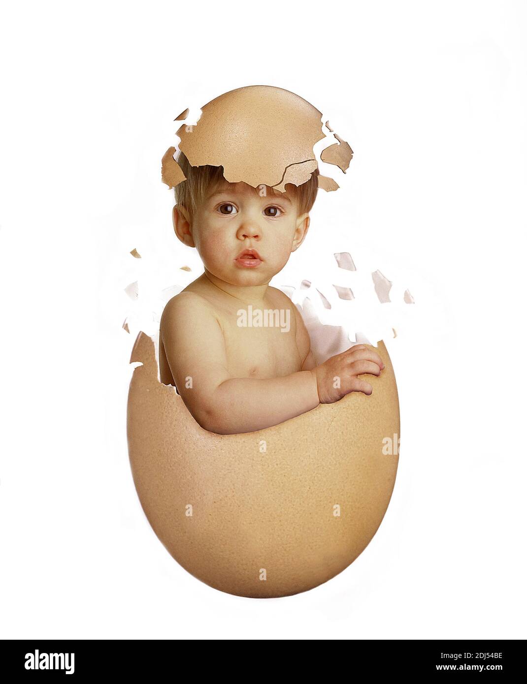 Emerging from egg hires stock photography and images Alamy