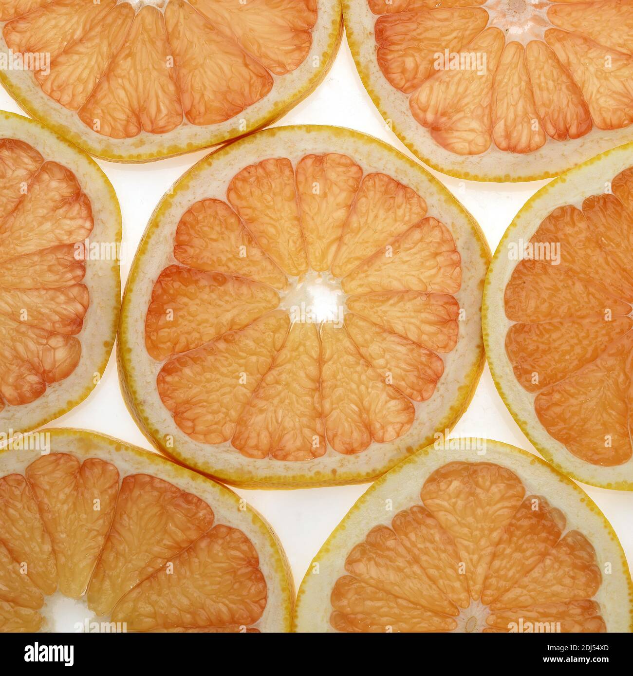 Grapefruit, citrus grandis against White Background Stock Photo Alamy