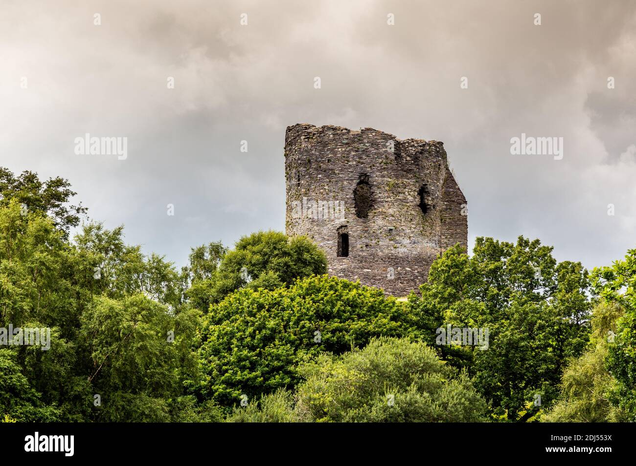 Dolbadarn Castle North Wales, towering above a tree line Stock Photo