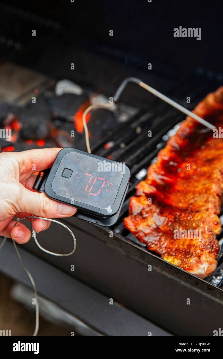https://c8.alamy.com/comp/2DJ58GB/digital-thermometer-bbq-grill-barbecue-for-beaf-steak-and-spare-rib-ant-other-meat-measuring-temperature-2DJ58GB.jpg