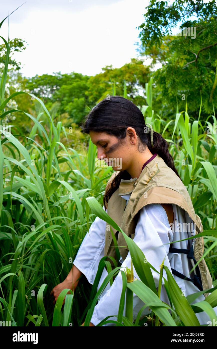 female farmer standing in corn field and looking over crops Stock Photo ...