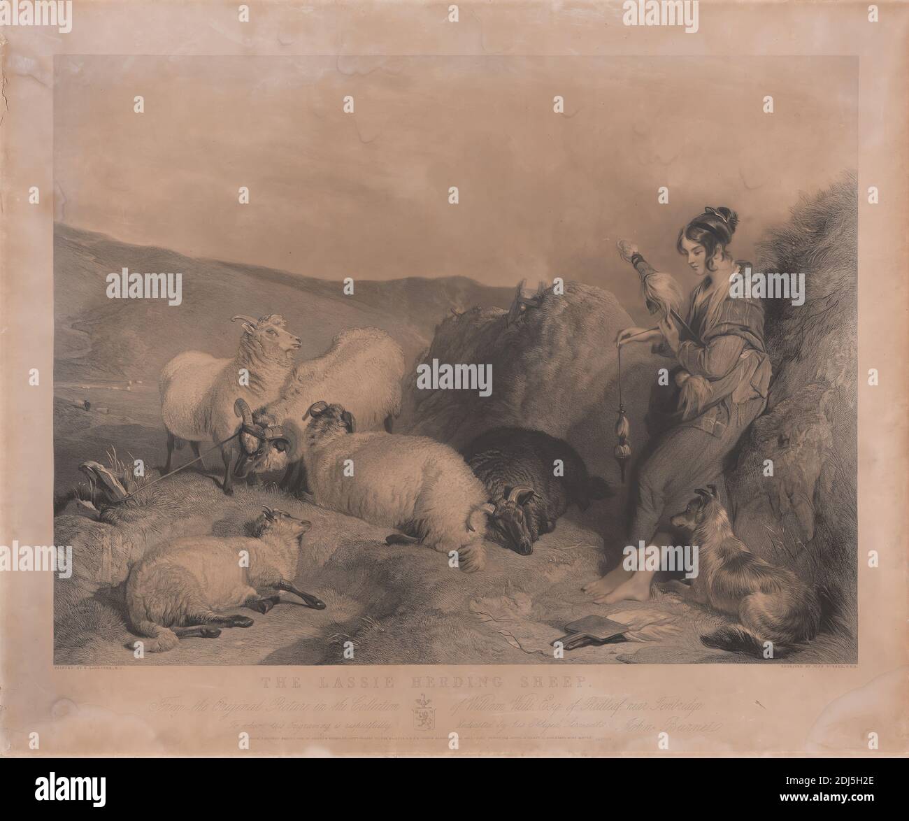 The Lassie Herding Sheep, Print made by John Burnet, 1784–1868, British, after Sir Edwin Henry Landseer, 1802–1873, British, 1843, Lithograph on thick cream smooth laid paper, Sheet: 23 x 27 3/4 inches (58.4 x 70.5 cm), dog (animal), sheep, shepherd, wool Stock Photo