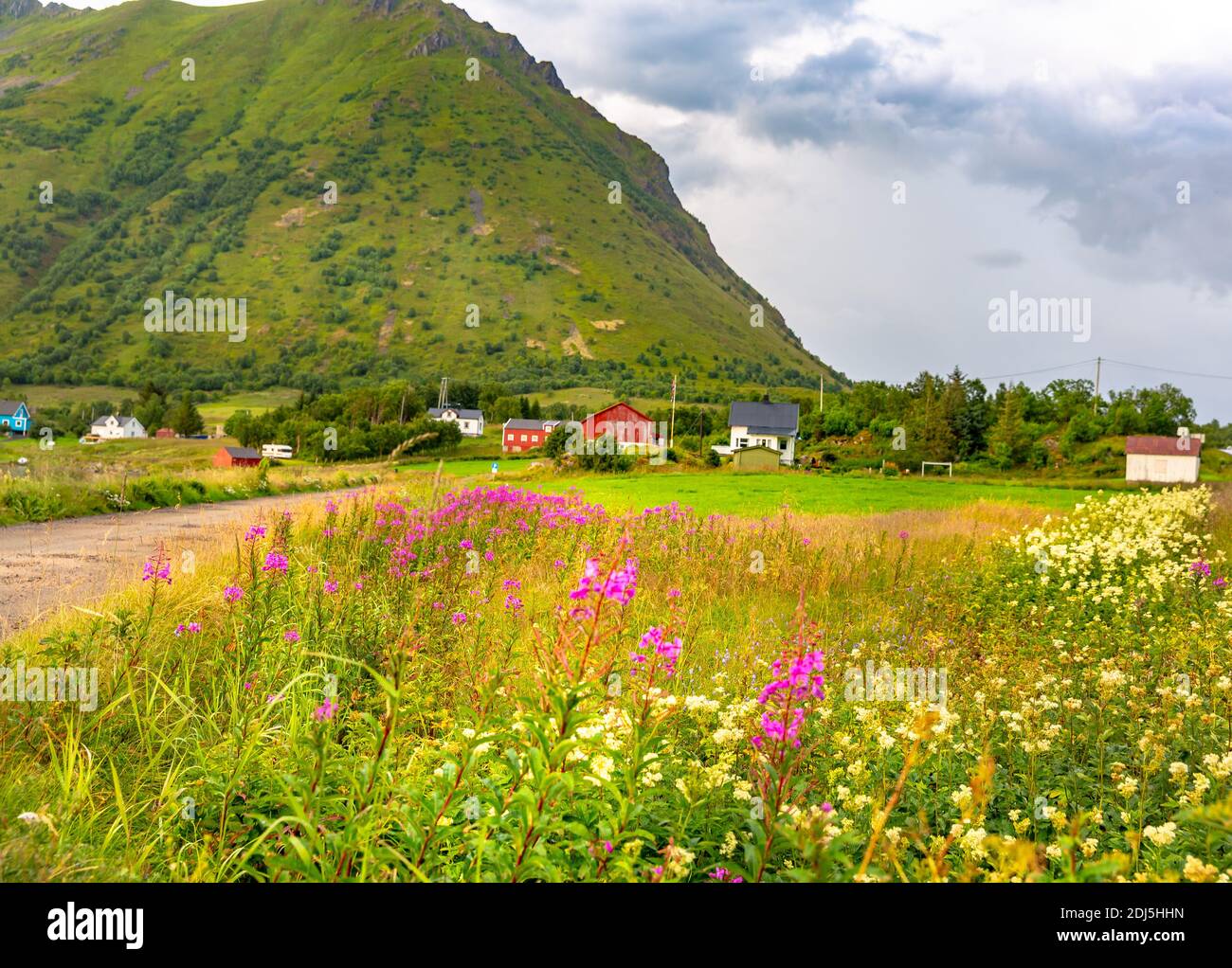 Lofoten Summer Landscape .Lofoten is an archipelago in the county of Nordland, Norway. Is known for a distinctive scenery with dramatic mountains Stock Photo