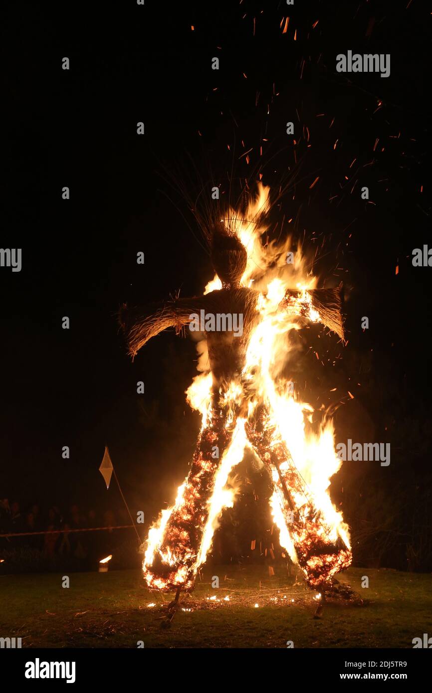 Burns a alight, A night time display of light and fire to celebrate Robert Burns Birth in January 1759, held at the Burns Monuments and Robert Burns Birthplace Museum, Alloway, Ayrshire, Scotland, UK.23 Jan 2016. The evening culminated in the burning of a wicker man Stock Photo