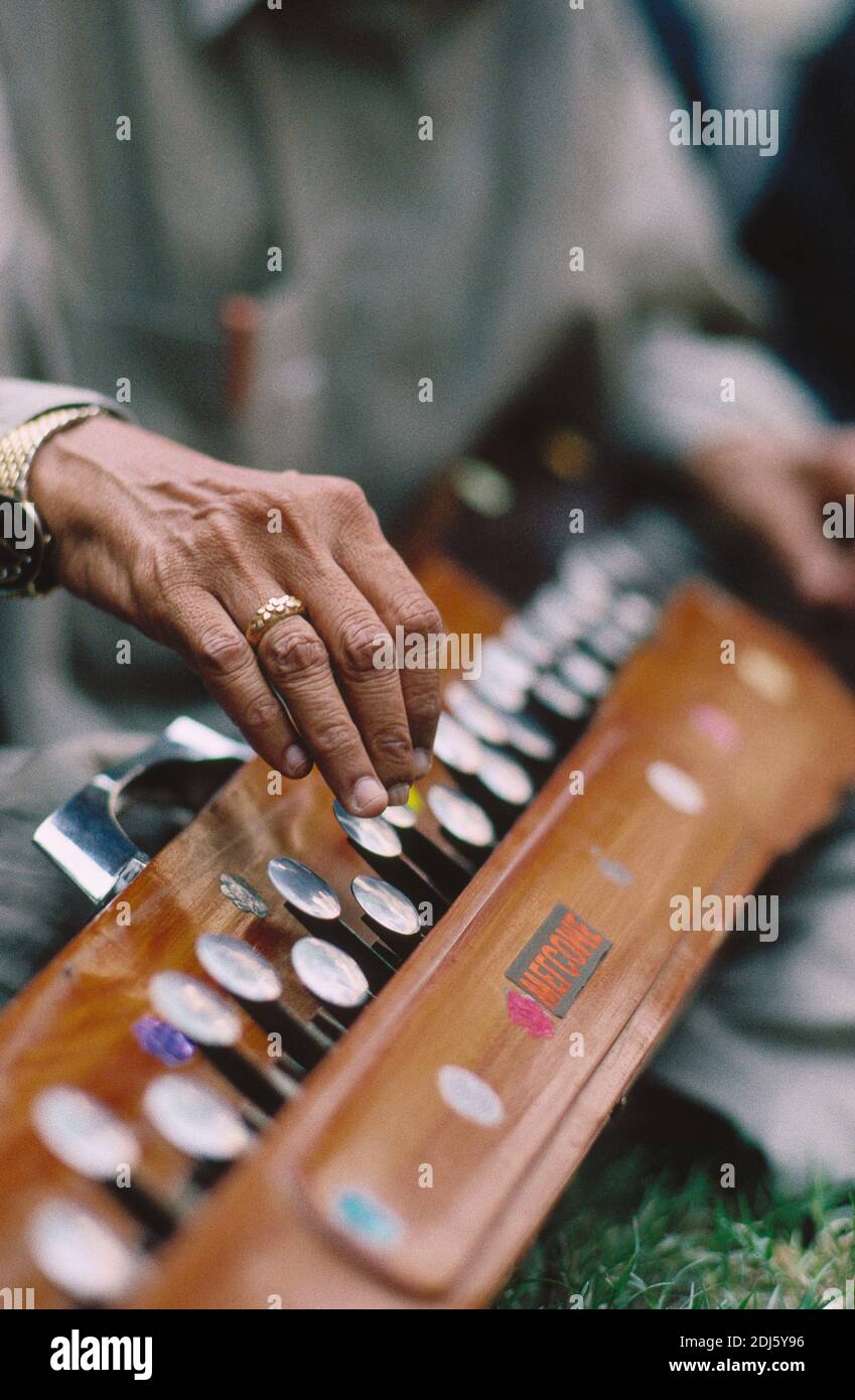 Sufi Music in the Indus Valley ,Benju instrument ,Sindh ,Pakistan Stock Photo