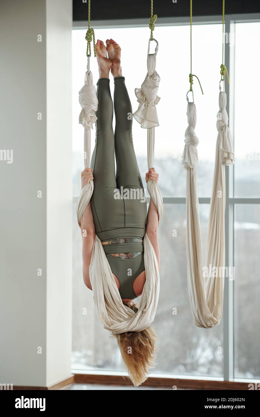 Back view of active young woman in grey tracksuit doing antigravity yoga exercise while hanging upside down and holding by white hammock Stock Photo