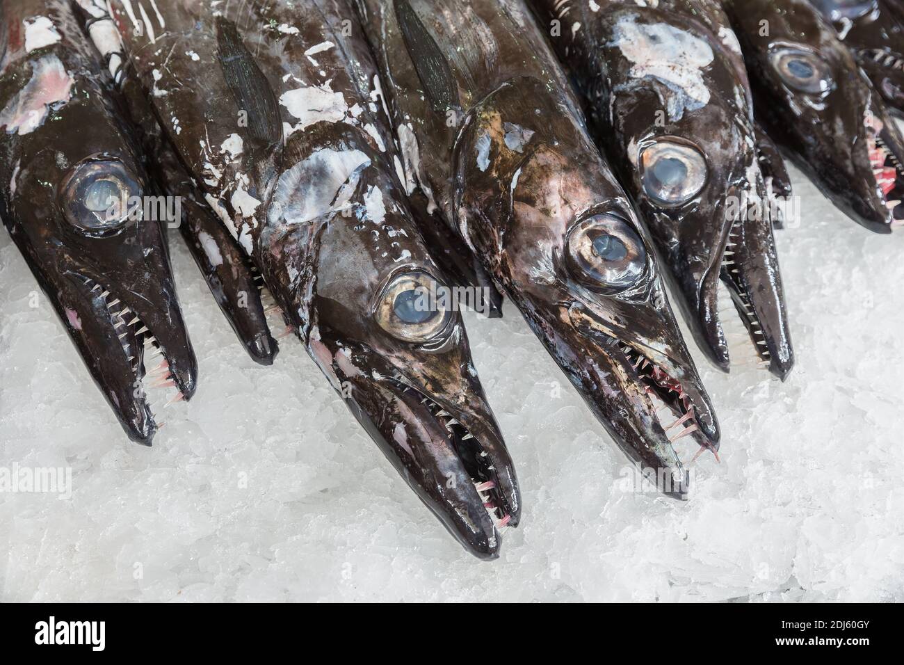 Black scabbard in fish market Funchal at Portugese Madeira Island Stock Photo