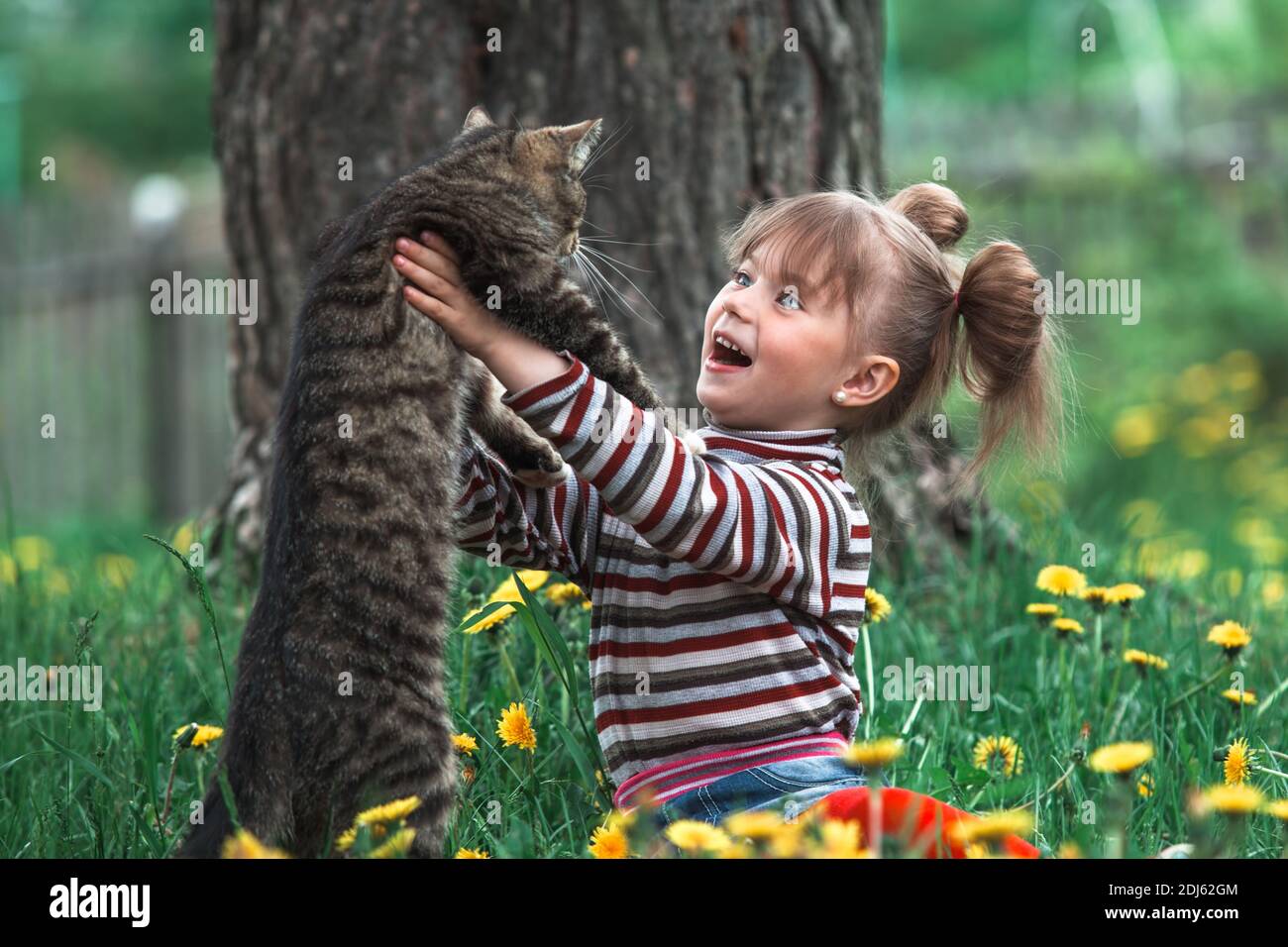 Funny lovely little girl playing with a cat in the Park Stock Photo - Alamy