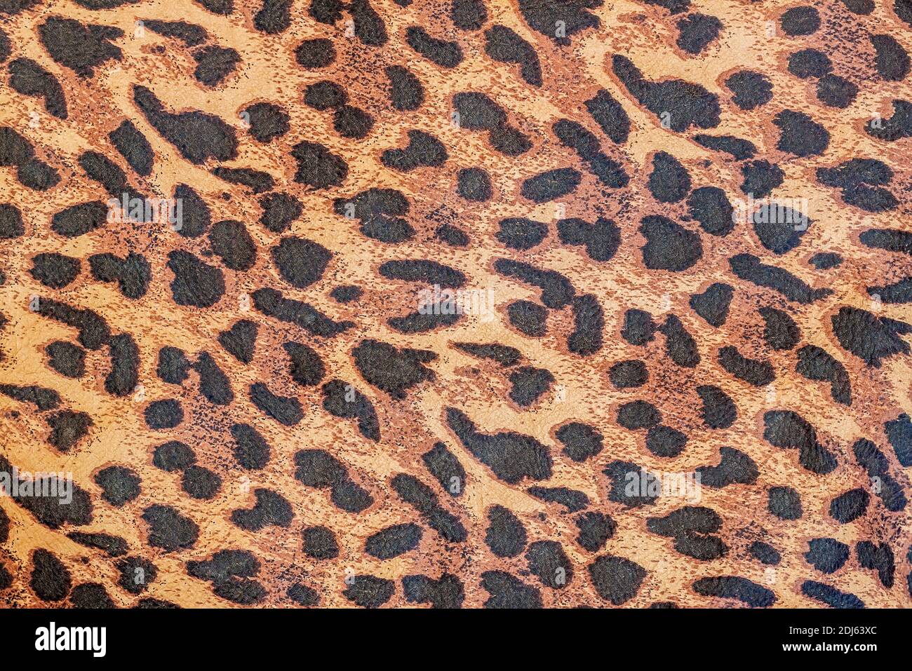 Leopard Seamless Animal Skin and Fur Textures, Closeup Natural