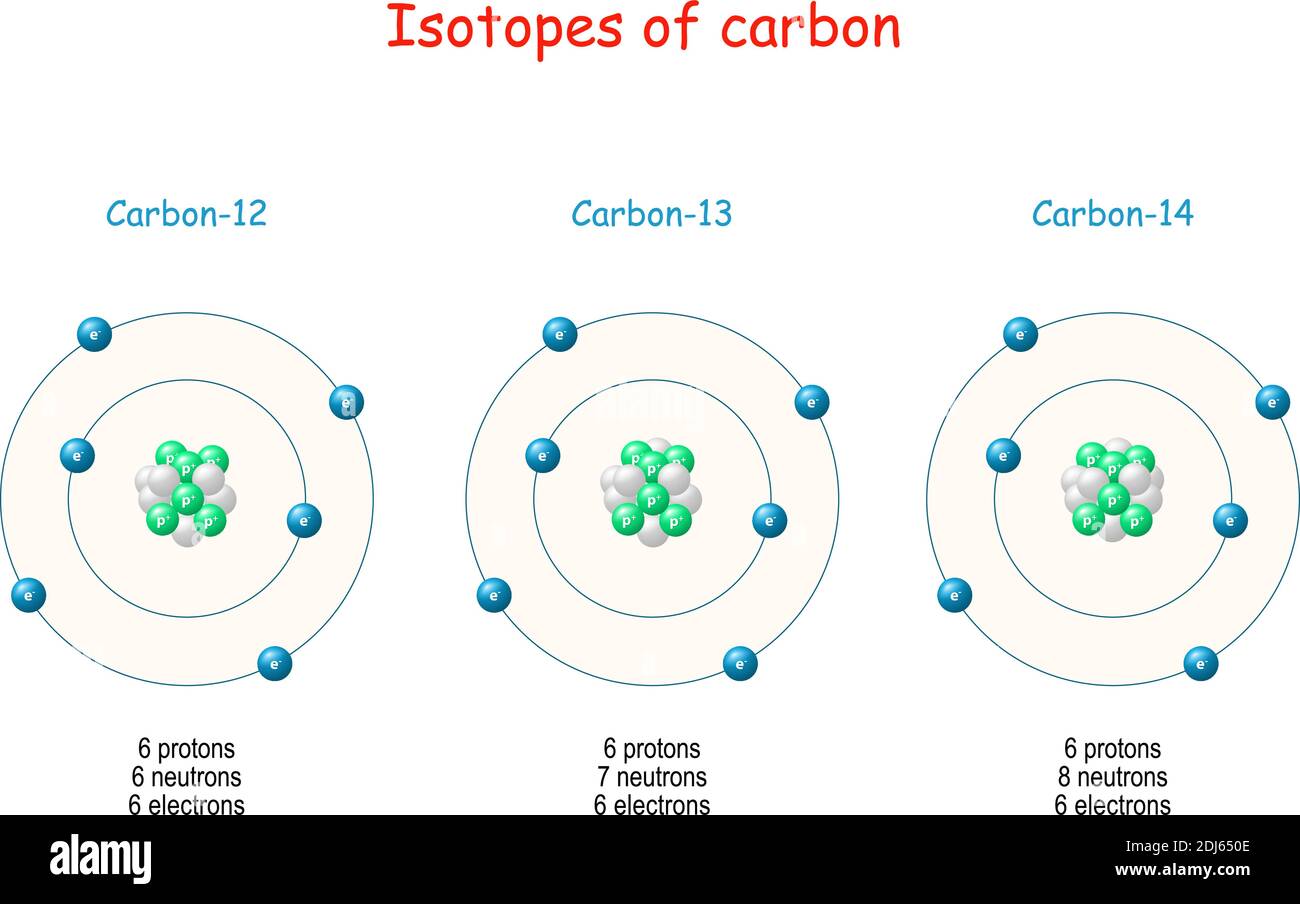 Carbon isotopes. Atomic Structure from Carbon-12 to Carbon-14. Atomic Particles: protons, neutrons, electrons. Vector illustration for science Stock Vector