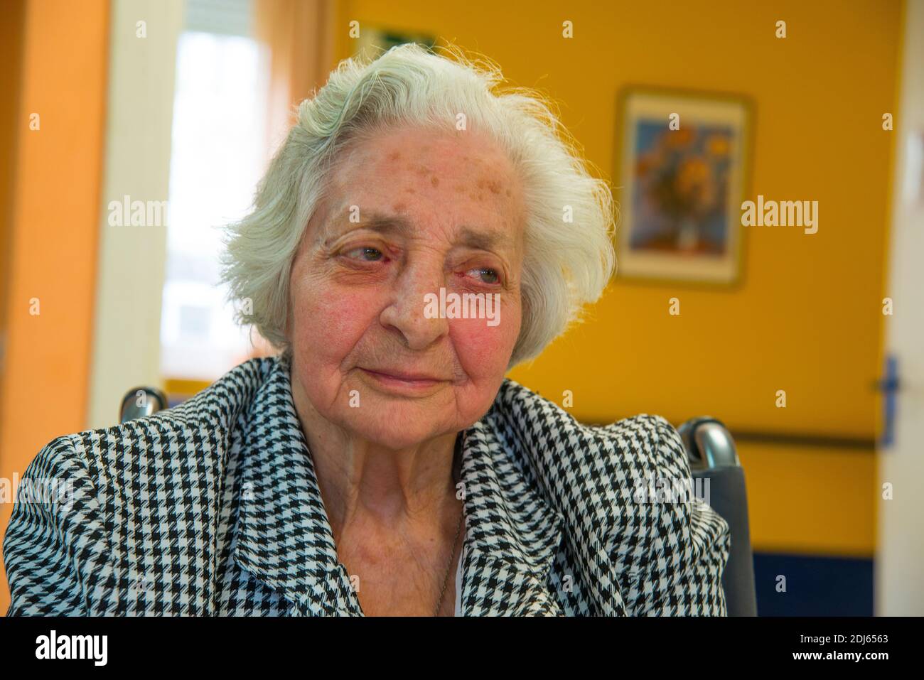 Old lady. Stock Photo