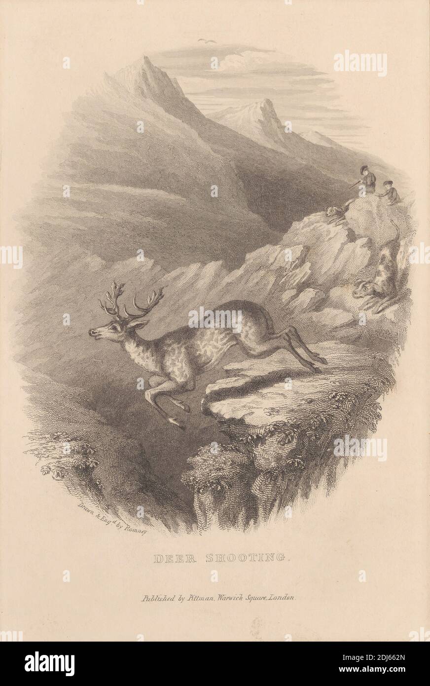 Deer Shooting, Print made by John Romney, 1786–1863, British, undated, Line engraving on medium, slightly textured, cream wove paper Stock Photo