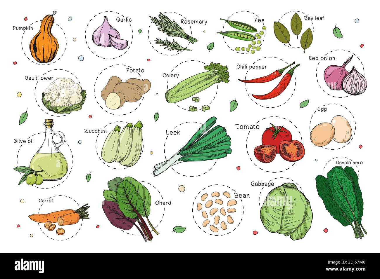 Sketch of different vegetables. Recipe stickers. Set of vegetables ...