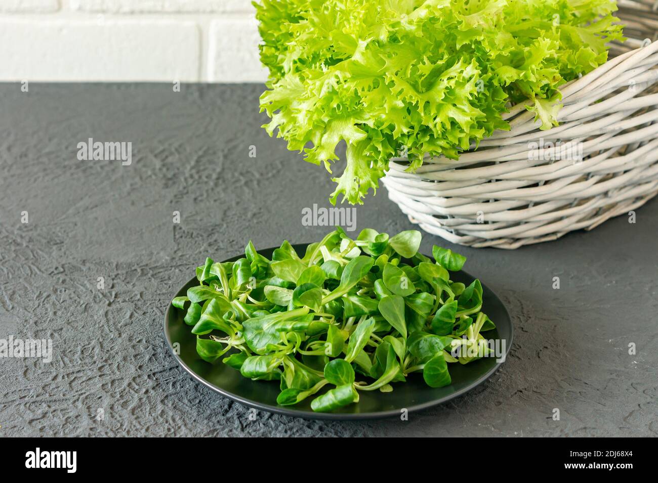 Valerianella locusta,corn salad,lamb's lettuce. Fresh green Corn salad leaves on a plate. Stock Photo