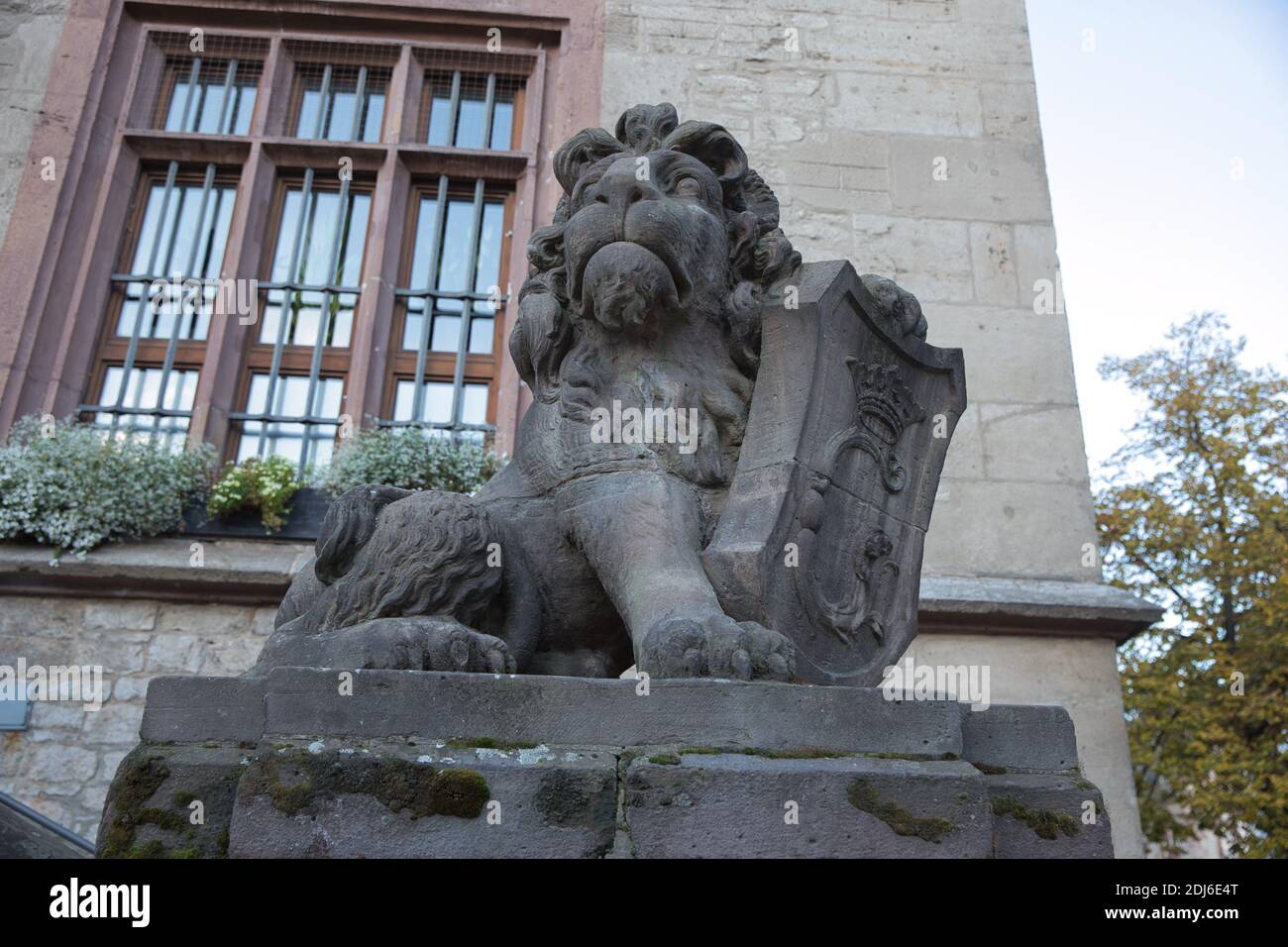 Heraldic lion stone statue landmark. Wappenlöwe Göttingen Germany Stock Photo