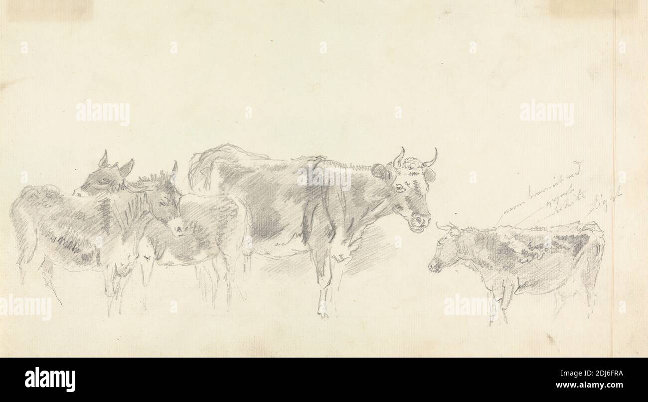 3 Donkeys High Resolution Stock Photography and Images - Alamy