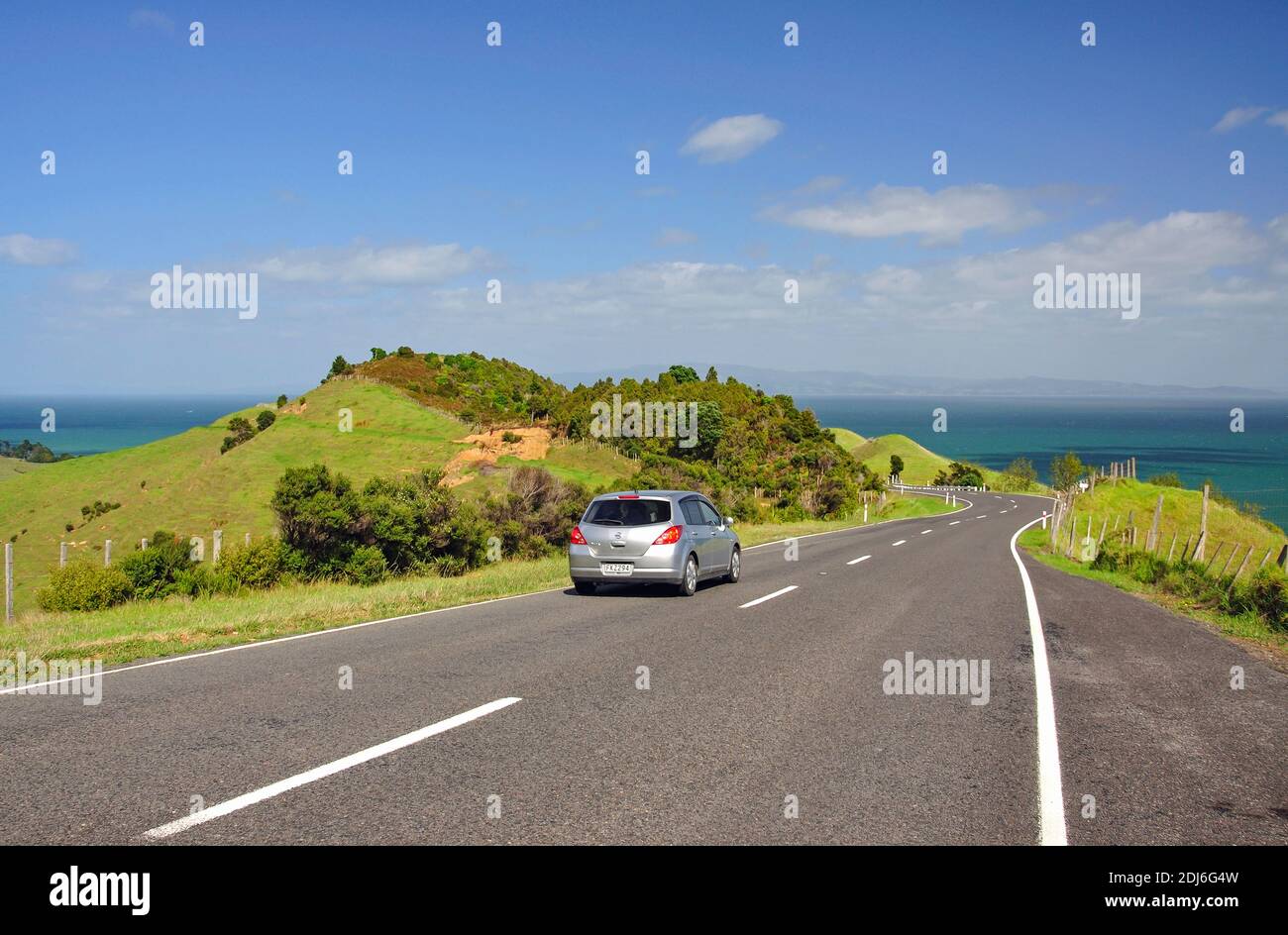 Whangapoua Road, Coromandel Peninsula, Waikato Region, North Island, New Zealand Stock Photo