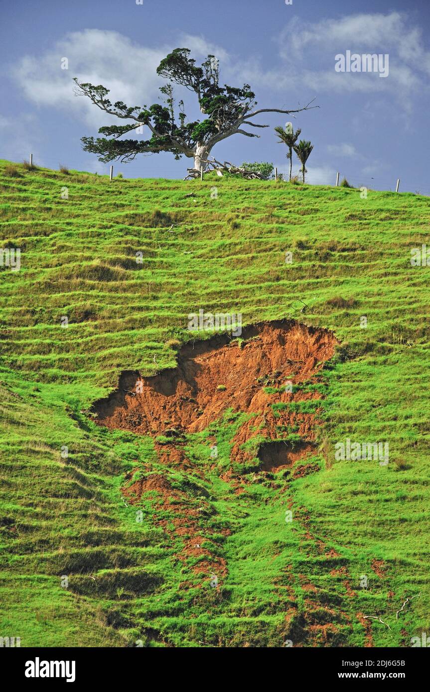 Earth slip in field from Whangapoua Road, Coromandel Peninsula, Waikato