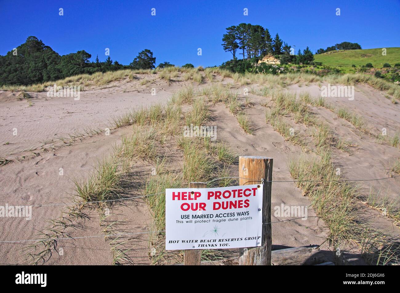 Sand dune protection, Hot Water Beach, Mercury Bay, Coromandel Peninsula, Waikato Region, North Island, New Zealand Stock Photo