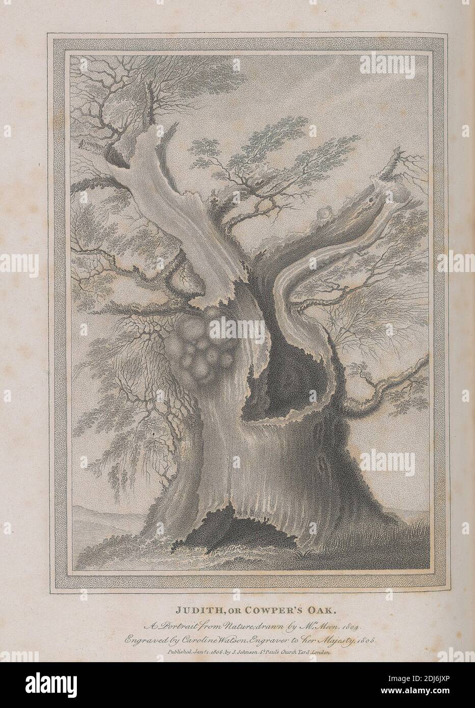 Judith, or Cowper's Oak, Print made by Caroline Watson, 1760–1814, British, after Margaret Meen, active ca. 1775–1824, British, Published by Joseph Johnson, 1738–1809, British, Text by William Hayley, 1745–1820, British, 1803-1804, Etching and line engraving on medium, slightly textured, cream wove paper, Binding: 11 1/2 inches (29.2 cm), Sheet: 11 3/8 × 9 inches (28.9 × 22.9 cm), and Image: 8 7/8 × 6 7/16 inches (22.5 × 16.3 cm Stock Photo