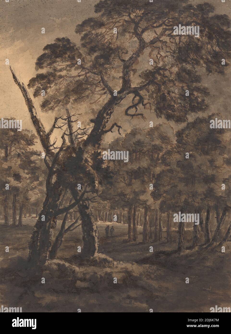 Forest Scene, Rev. William Gilpin, 1724–1804, British, 1771, Gray and brown wash with pen and brown ink over graphite with gum on moderately thick, moderately textured, cream wove paper prepared with brown wash, mounted on thick, slightly textured, cream wove paper, Mount: 20 13/16 x 15 7/8 inches (52.9 x 40.3 cm) and Sheet: 17 1/8 x 12 7/8 inches (43.5 x 32.7 cm), dark, figures, forest, landscape, night, path, trees, walking Stock Photo
