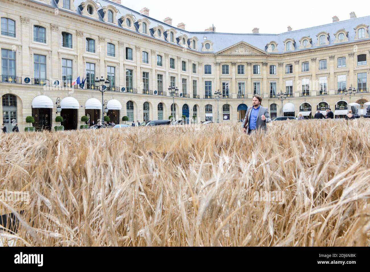 Ble Vendome' or Wheat Vendome is an installation by French artist Gad  Weil, next to the famous hotel Ritz, on Place Vend?me, in Paris, on July  1st, 2016. The wheat field will