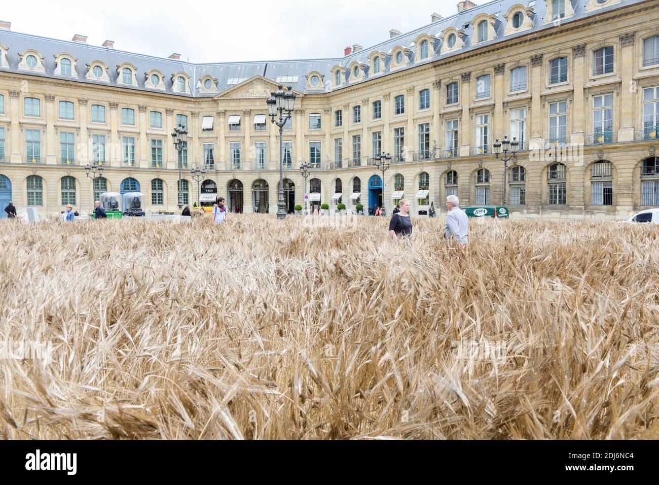 Ble Vendome' or Wheat Vendome is an installation by French artist Gad  Weil, next to the famous hotel Ritz, on Place Vend?me, in Paris, on July  1st, 2016. The wheat field will
