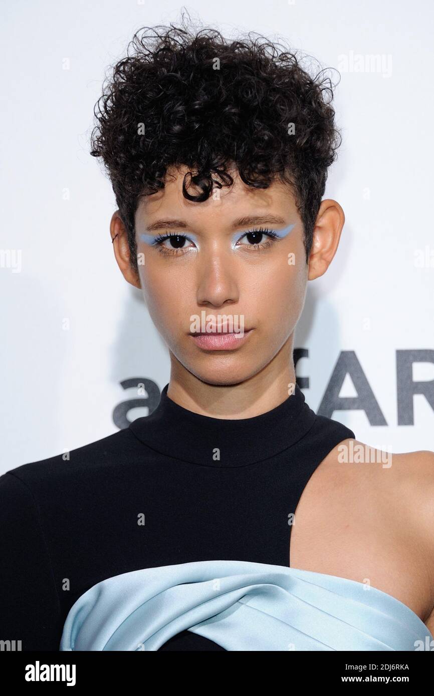 Dillon attending the Amfar dinner as part of Paris Fashion Week at the