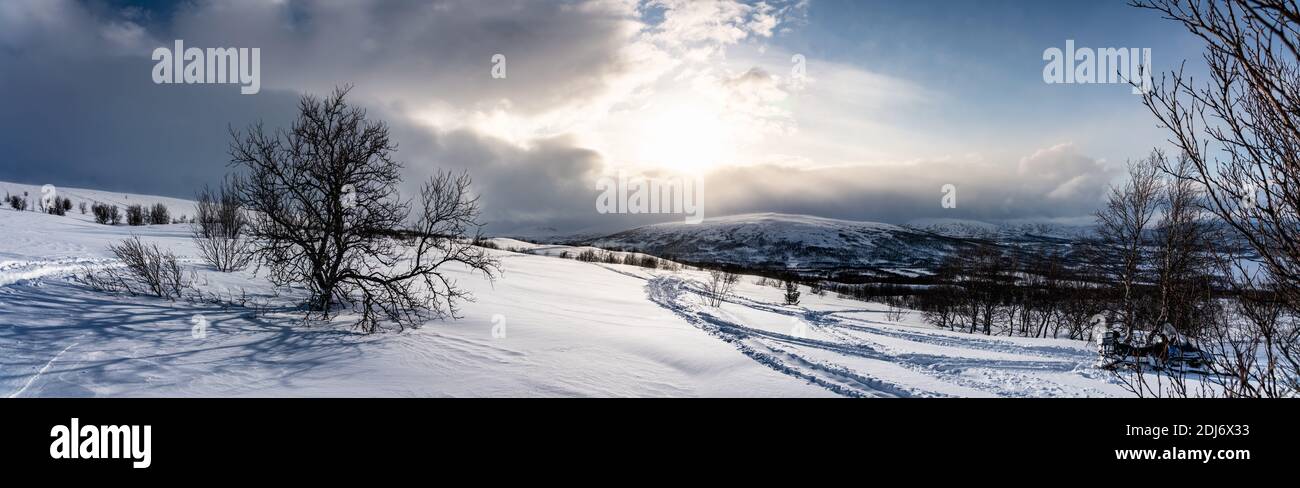 Beautiful panorama on mountain slope in Lapland. Cold day with Sun and clouds, view at snowy wild landscape with rare birches. Excellent visibility at Stock Photo