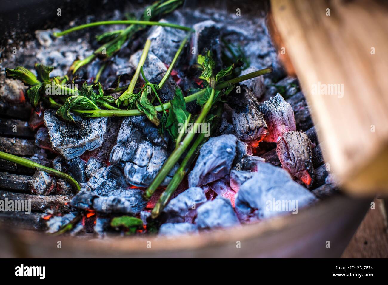 Great Britain /London/ BBQ with mint on charcole for more aroma. Stock Photo