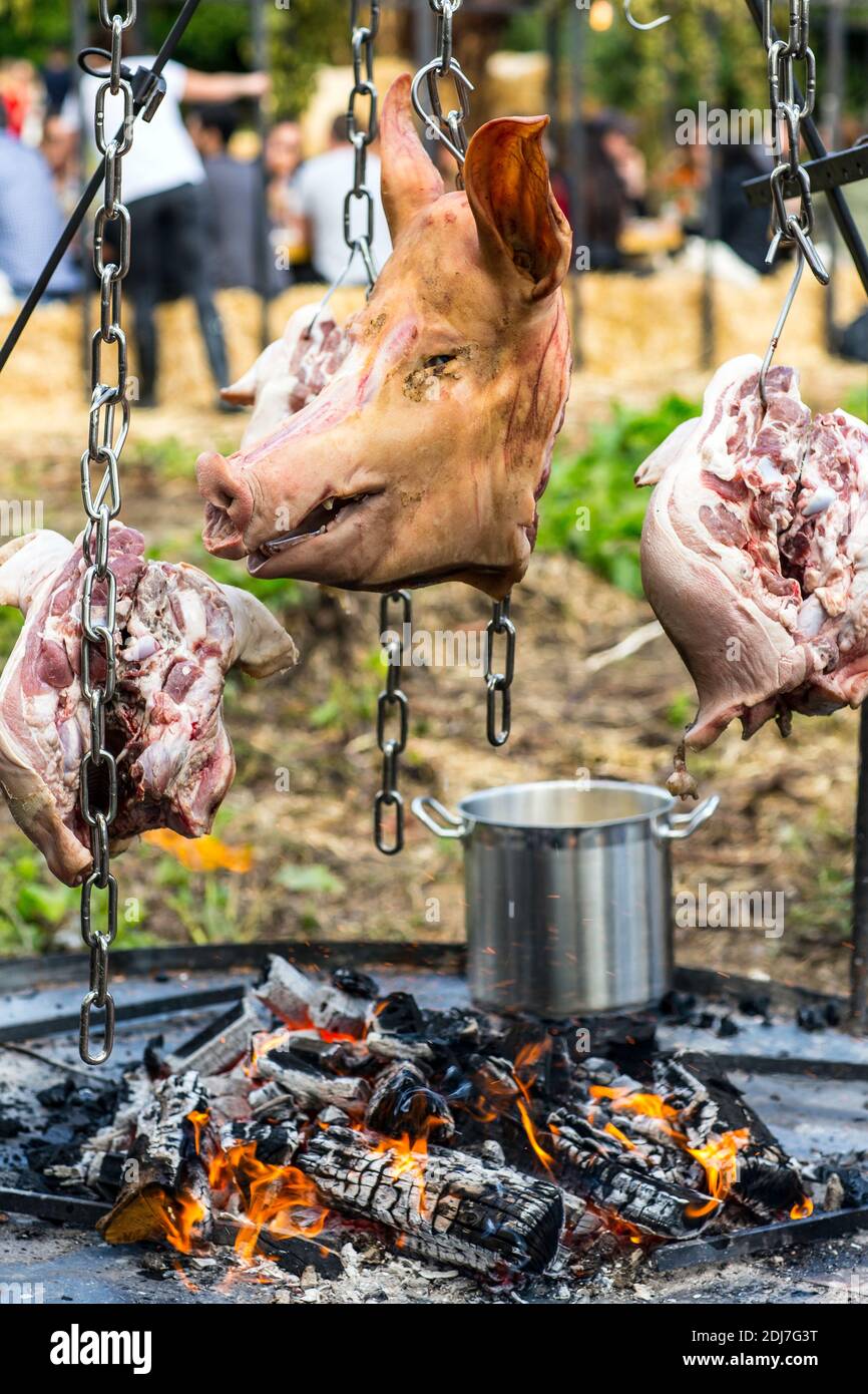 GREAT BRITAIN / England / Hertfordshire /A roast pig's head live fire cooking Stock Photo