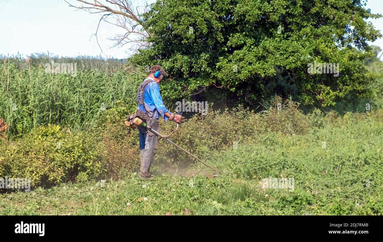Senior man mows grass with petrol brush cutter. Man wearing overalls, protective goggles, soundproof headphones and work gloves. Full-length side view Stock Photo