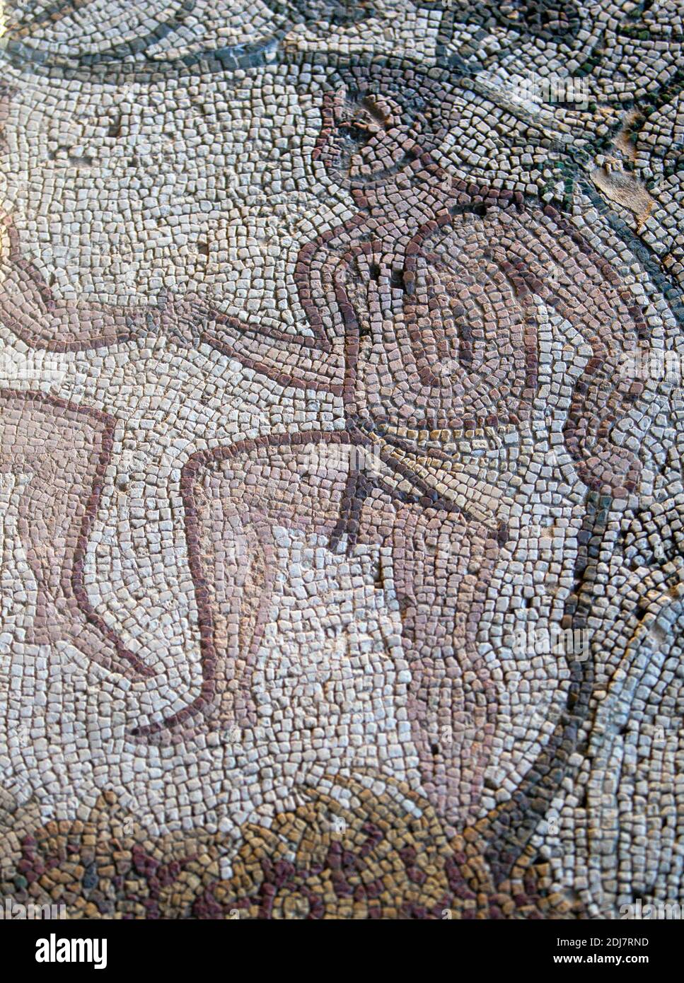 Merida, Spain - December 13th, 2020: Autumn mosaic. It depictis three men treading grapes to make wine. Amphitheatre House. Merida, Spain Stock Photo