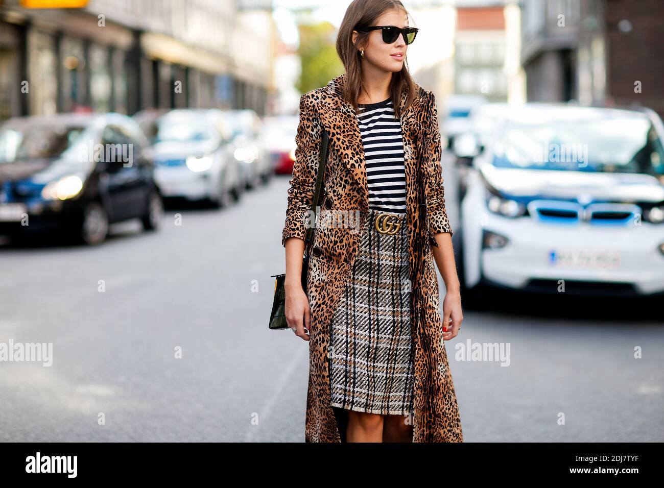 Motif zebre hi-res stock photography and images - Alamy