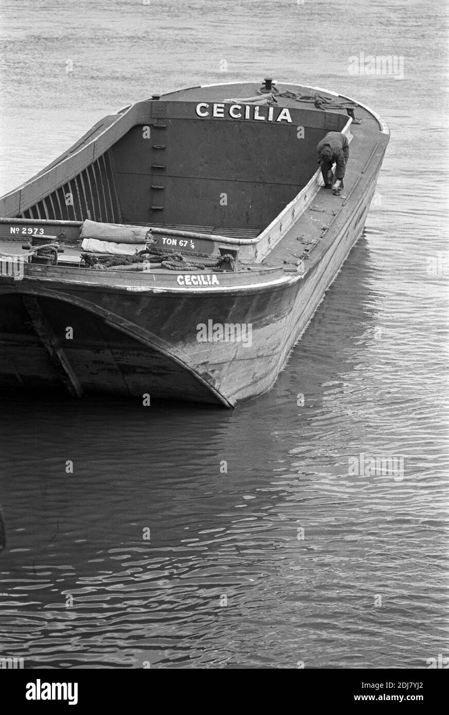 UK, London, Docklands, Isle of Dogs, River Thames, early 1974.'Cecilia' River Thames lighter or cargo, enginless, barge. Steel hull riveted sections. Stock Photo
