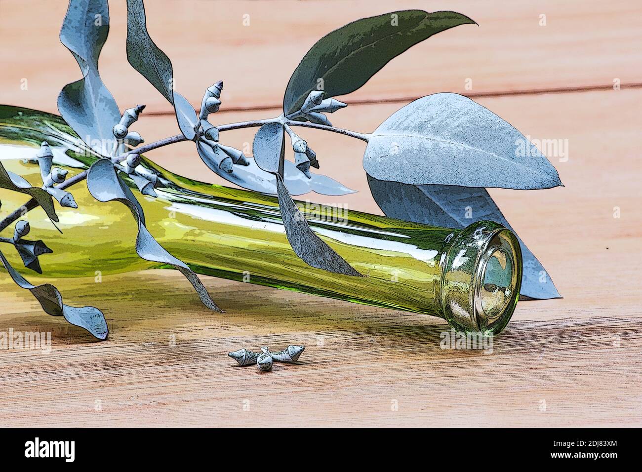 Eucalyptus cutting with seeds over a bottle Stock Photo Alamy