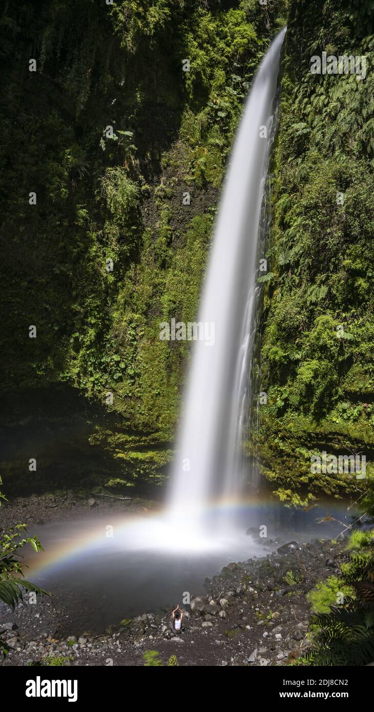 A vertical long exposure shot of a thin waterfall with a beautiful ...